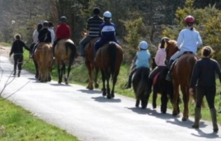 Horse riding in Maine et Loire 